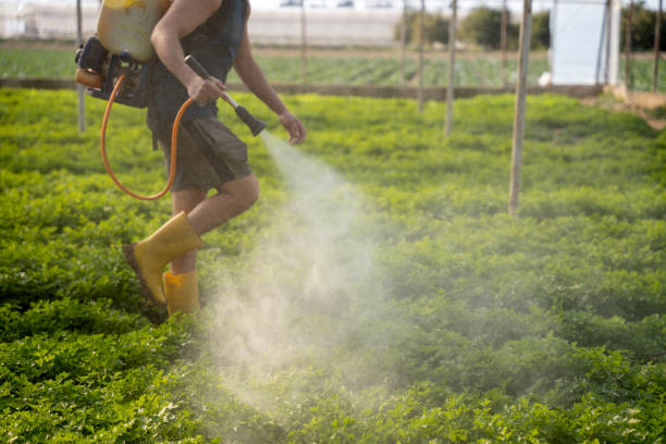 Best Local Pest Control Services  in Avon By The Sea, NJ