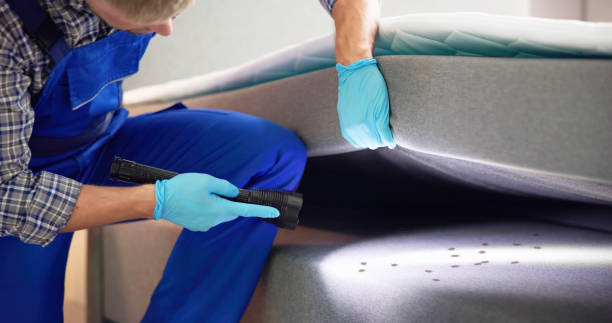 Best Residential Pest Control  in Avon By The Sea, NJ