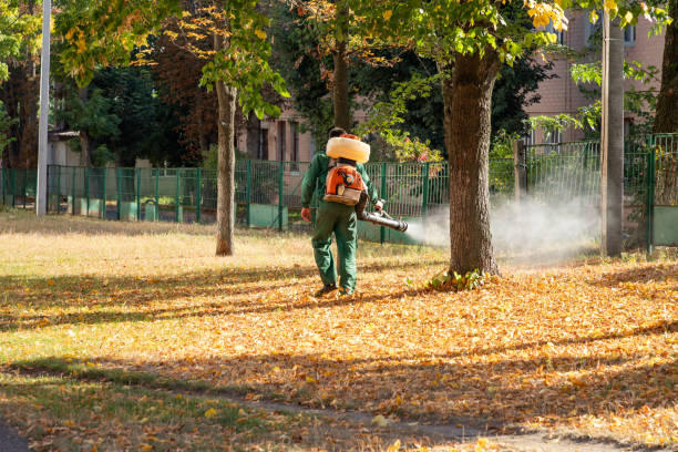 Best Pest Prevention Services  in Avon By The Sea, NJ