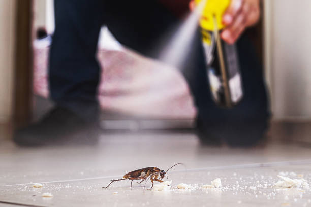Best Insect Control  in Avon By The Sea, NJ