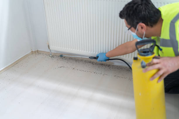 Best Flea Control Services  in Avon By The Sea, NJ