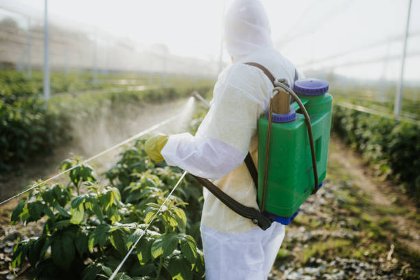 Insect Control in Avon By The Sea, NJ